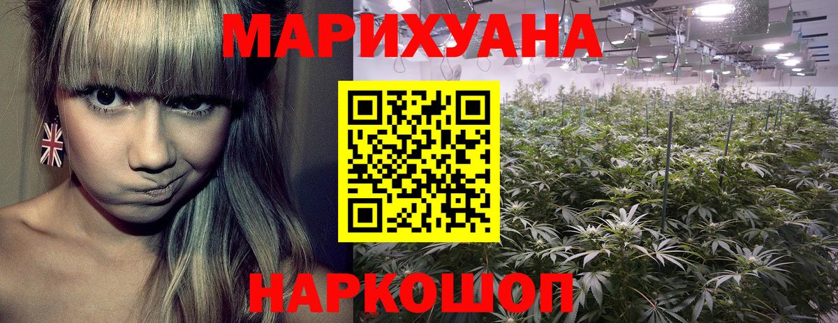 Конопля индика Муром